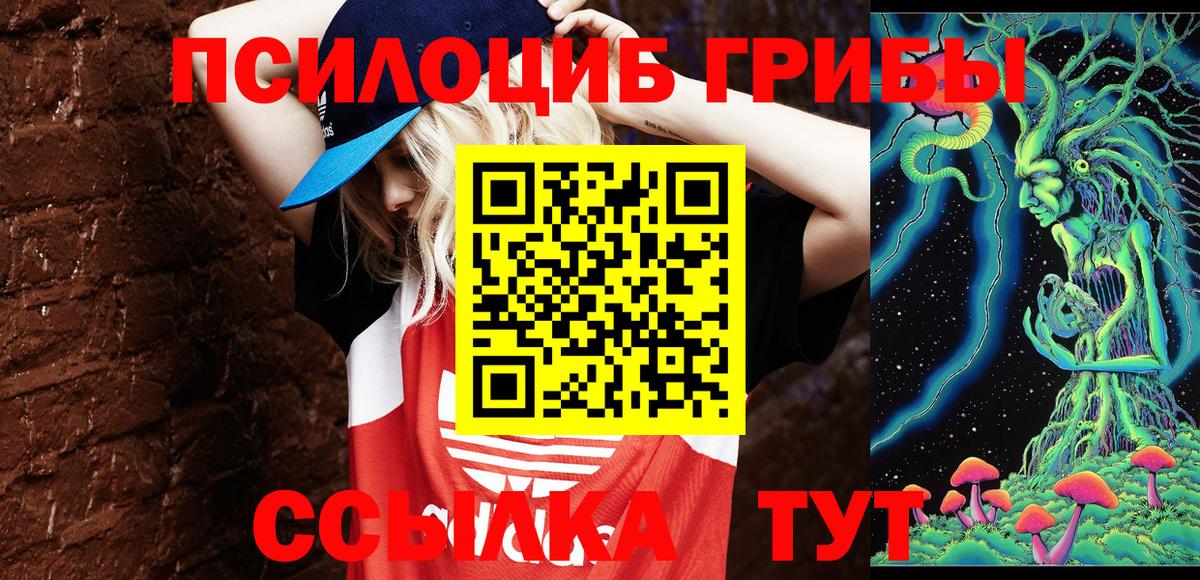 Псилоцибиновые грибы Psilocybe  Вход с VPN  Сертолово 